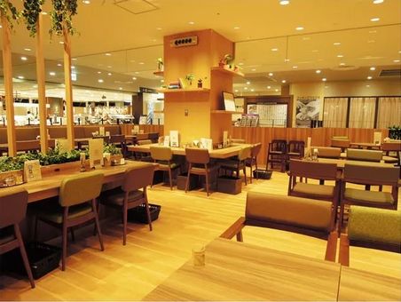 日本最豪华的购物中心,日本大的购物中心