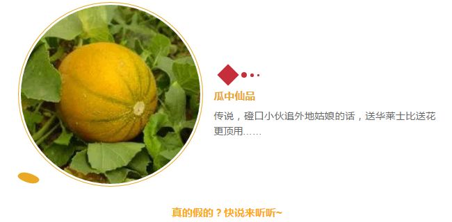 磴口的华莱士哪里有卖,天下第一瓜只有在磴口能吃上