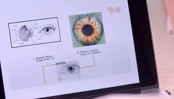 武汉光谷观光,武汉光谷值得去吗