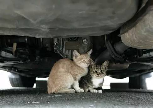 珂健·每日问答-20160613期细致点评捷豹XJL