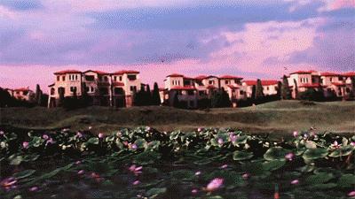 武汉光谷观光,武汉光谷值得去吗