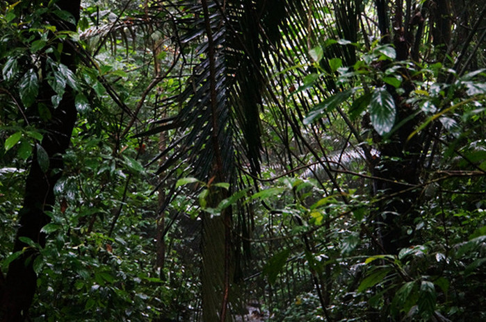 巴马世界旅居圣地,广西巴马长寿圣殿图片