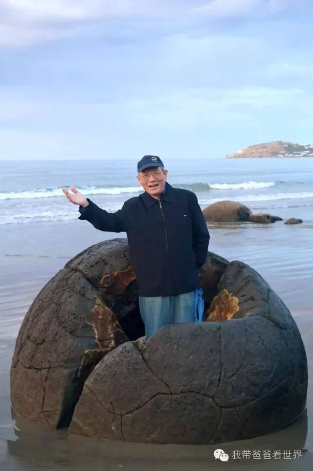 新西兰奇异圆石,摩拉基大圆石龟背形成原因