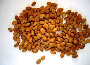 痛经血块多食疗,痛经有血块中药配方