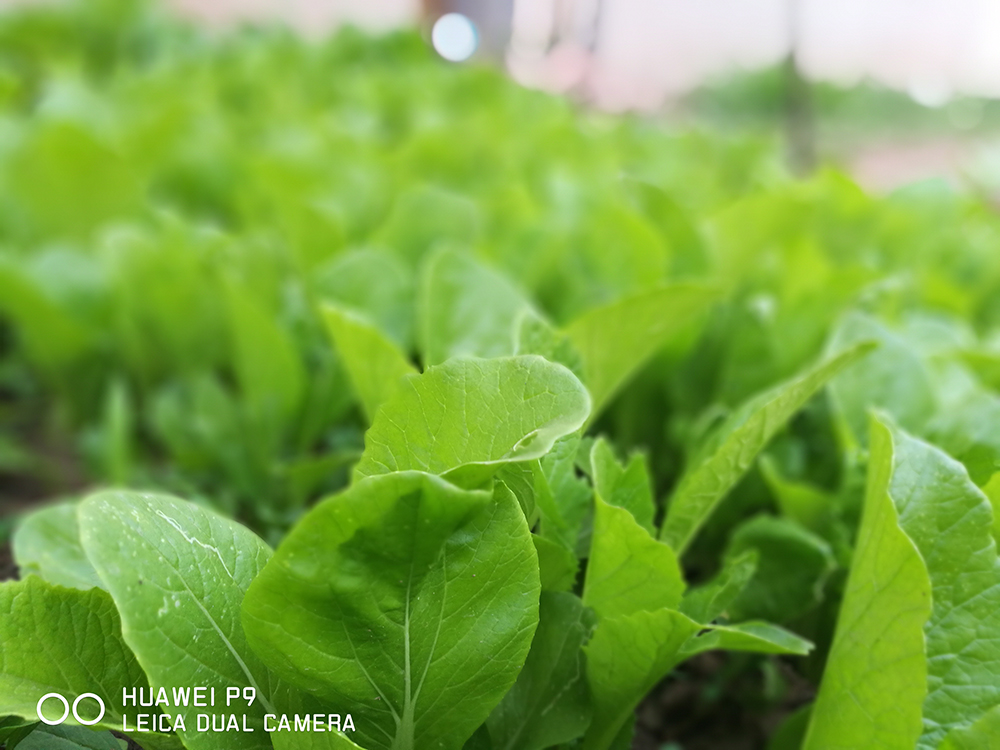 华为p9有红外功能吗,华为p9隐藏功能