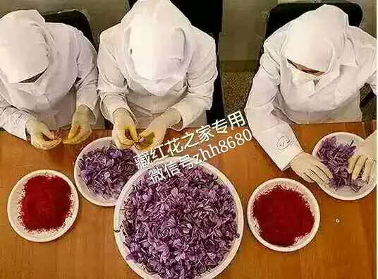 补肾抗癌养颜现代人为之疯狂的秘密