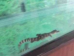 微商朋友圈卖东西赚钱吗,朋友圈的微商真的能赚钱吗