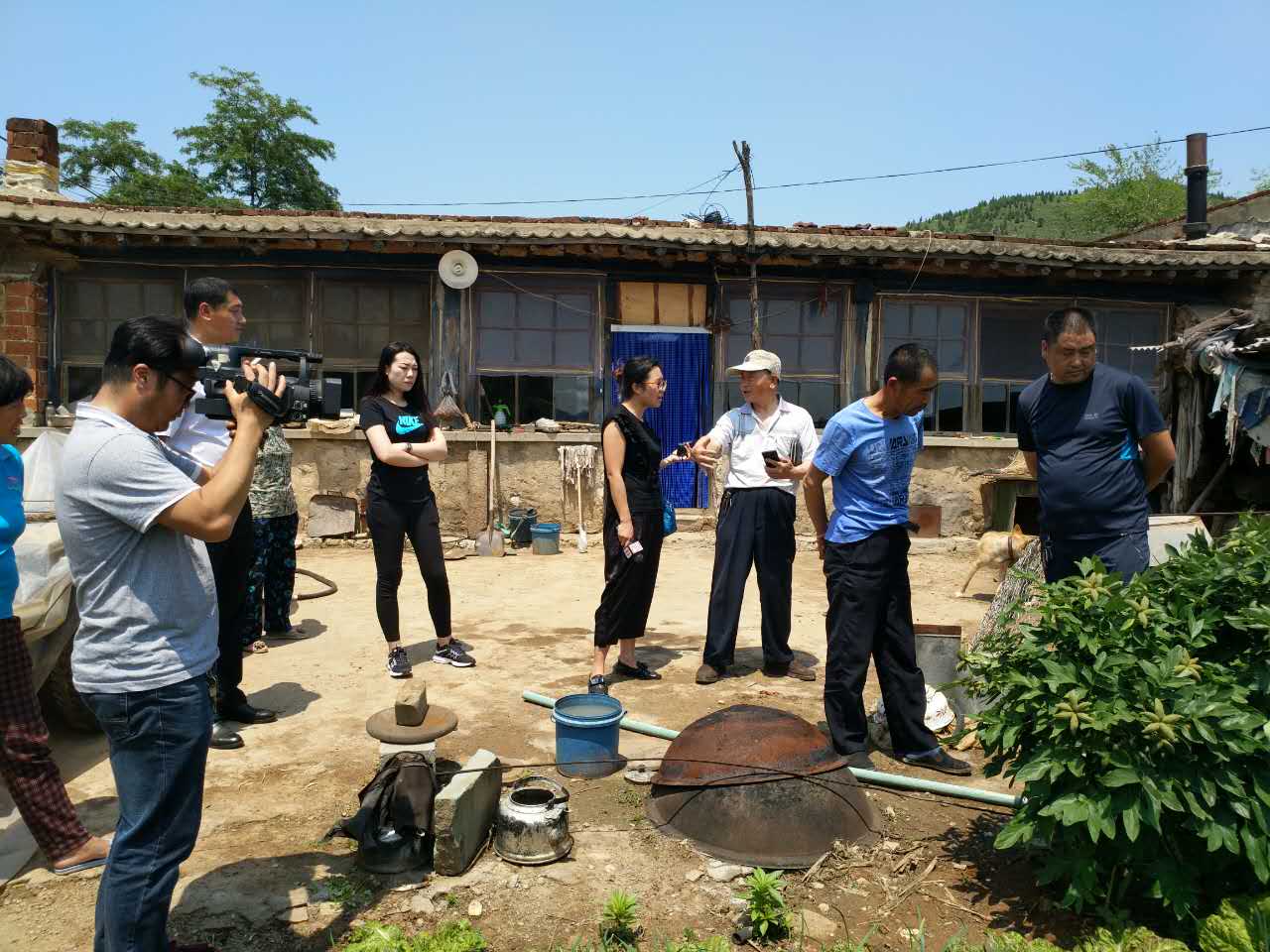 葫芦岛市油用牡丹“王”迎来第一波媒体探秘