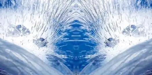 这些镜头里的花，让我瞬间变“花痴”