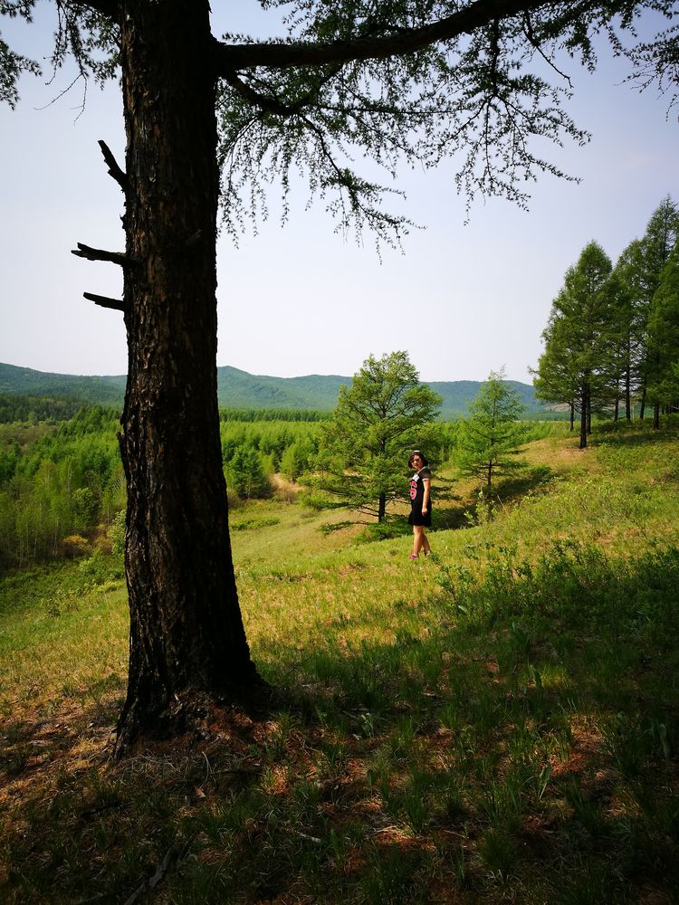 记忆深处的呼伦贝尔,记录呼伦贝尔美好时光