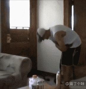 喵星人爆笑合集萌宠,爆笑萌宠大合集关于猫