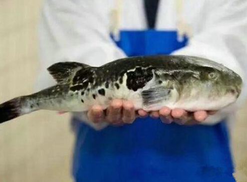 小心这几种食物不能经常吃,专家告诫十种食物不能多吃