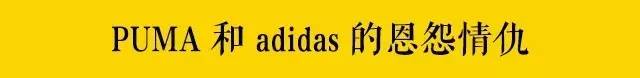puma和adidas哪个比较受欢迎,阿迪达斯和puma是不是一个牌子