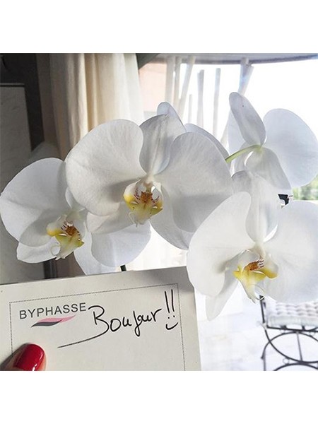 曲线女神不是神话Byphasse与你共同见证更美的自己