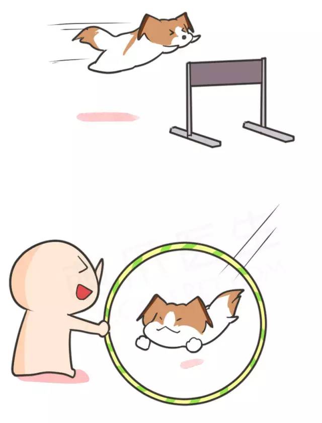 身娇贫乳双马尾，准备好舔屏了吗？！