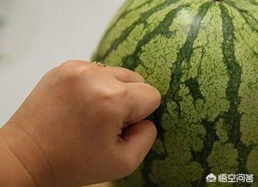 夏季吃瓜怎么挑,正确吃瓜指南教你怎么挑好瓜