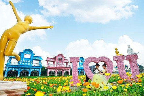 广州南沙新万顷沙百万葵园,看100年的历史去广州