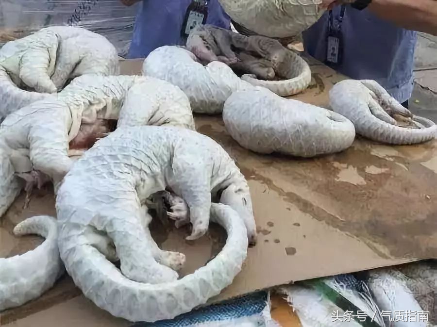 朋友圈里卖低价服装的真相,朋友圈代购真实案例