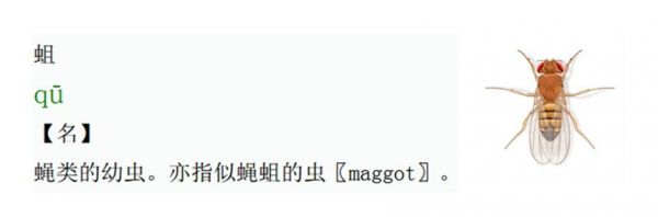 什么水果长虫了最好吃,哪些水果最容易有虫