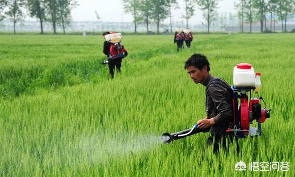 间质性肺炎病因是不是很难找,间质性肺炎的严重程度判断依据