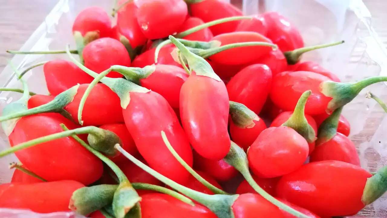 收藏不看是种什么心理,宁夏特产正宗宁夏中宁枸杞