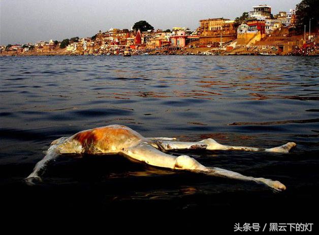 印度恒河水好喝吗,印度做饭用的真的是恒河水吗
