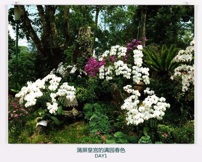 清迈住宿攻略清迈自由行,在清迈