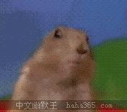 中山哪个驾校最靠谱过关率高,中山哪家驾校正规拿证快