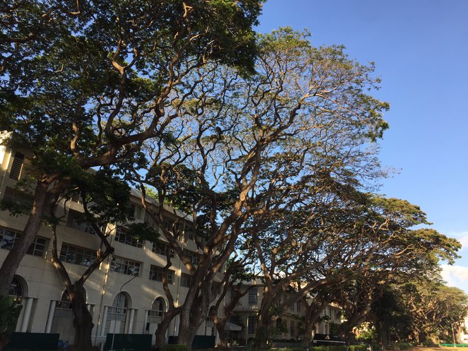 【自助婚纱】菲律宾杜马盖地地区9天8夜蜜月游-详细攻略+大量自拍婚纱照