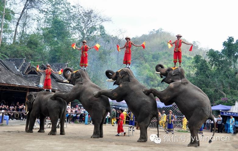 重庆至云南自驾游7天最佳路线,成都到云南自驾游最佳路线推荐