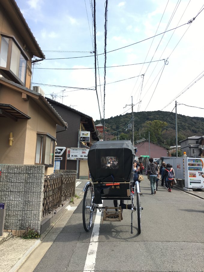 16年,关西(大阪,奈良,京都,宇治)樱花,甲子园