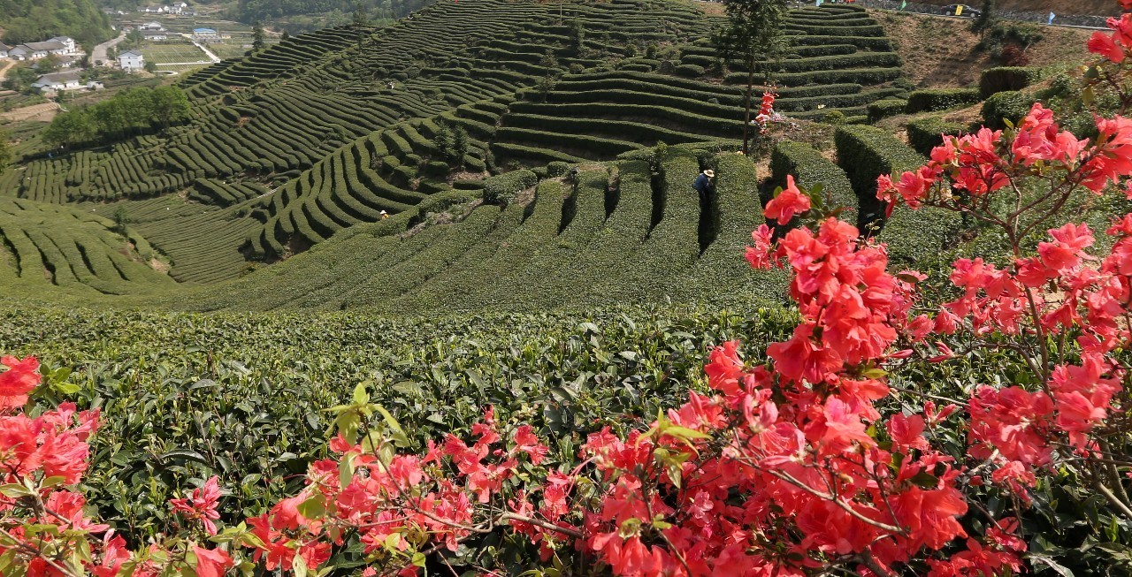 宜昌2路公交线路调整,宜昌公交出行最新通知