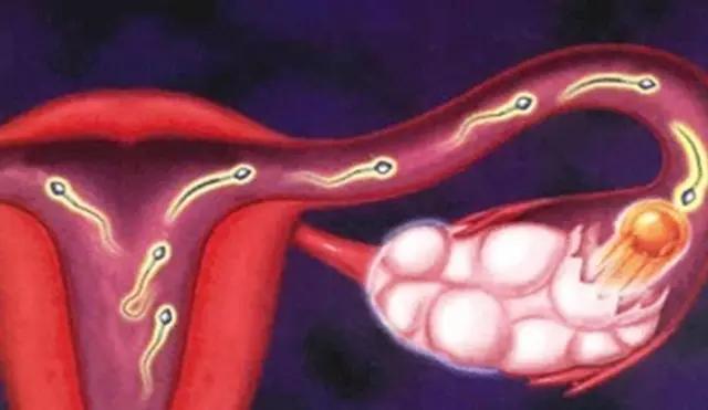 利用雌激素抗衰美颜,你知道的4件事儿