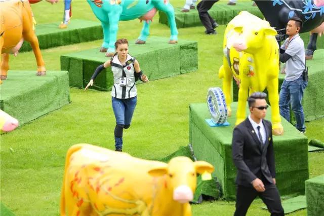 王牌对王牌尚雯婕是哪一季,王牌对王牌尚雯婕是哪一集