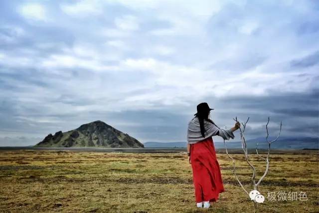 我在冰岛，带回一截漂亮的枯木