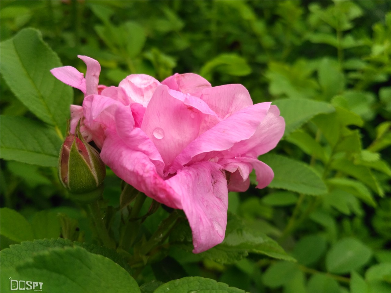 红米3s哪个miui版本好,红米3s系统miui8