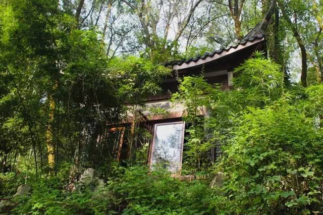 重庆茶室最出名的茶馆,重庆喝茶打麻将的地方都有哪些