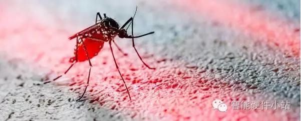 比蚊香NB百倍的灭蚊装备，夏季必读！