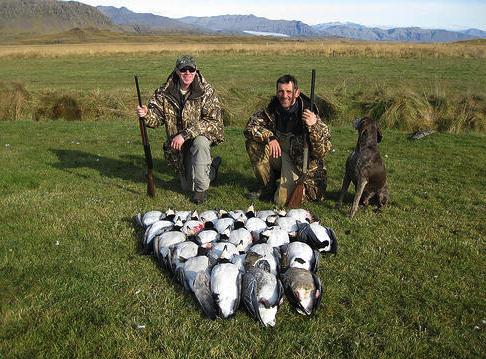 冰岛国家足球队欧洲杯大名单揭秘,关于冰岛的有哪些小知识