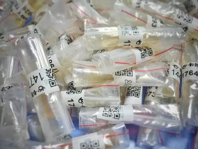 卡拉丁塞尔机油,卡拉丁用的进口机油是真的吗