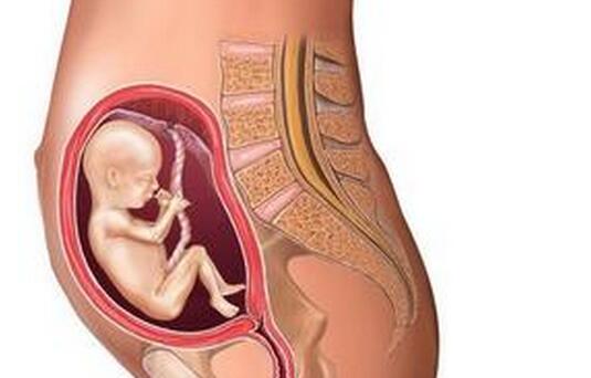 优育二胎：妈妈，我就要看到你了——孕晚期常见问题