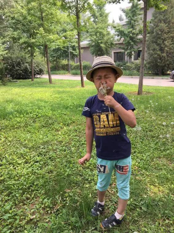 顺义后沙峪镇,顺义区后沙峪村