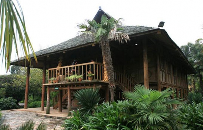 高洪波国足,国足本土教练高洪波