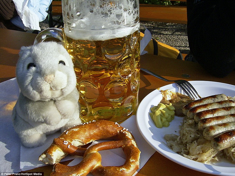 男子携带玩偶兔旅行20多国你想携带什么？