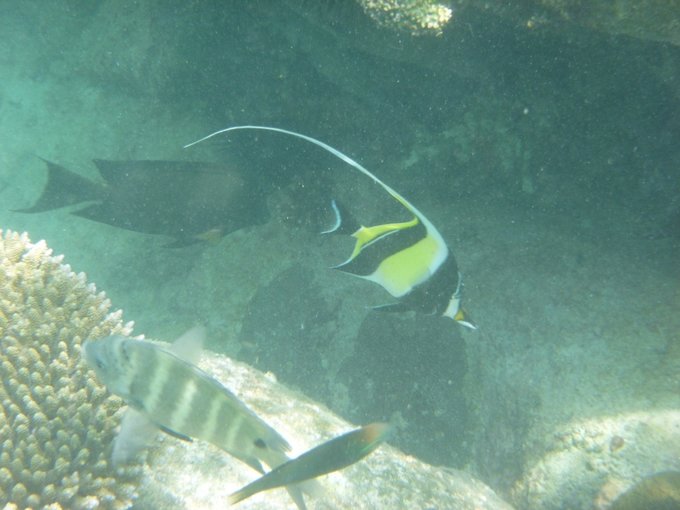 充满颜色的塞舌尔