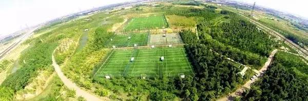 熬夜在家看球赛,在家熬夜看世界杯