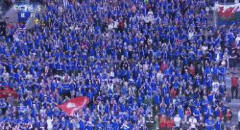 这次欧洲杯有冰岛吗,这次欧洲杯哪个国家会拿冠军