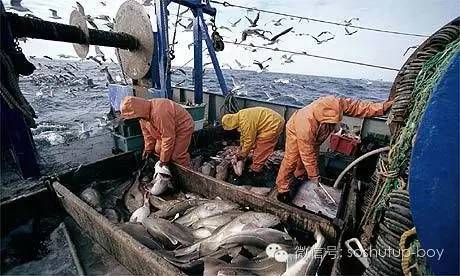 足足输了50年球的捕鱼小国，靠一支鲜肉神勇足球队玩起了满世界圈粉运动~