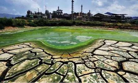 肥料太多种的菜种还会出吗,施肥过多的蔬菜土壤怎么处理