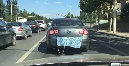 这智商，还有脸遮挡车牌？